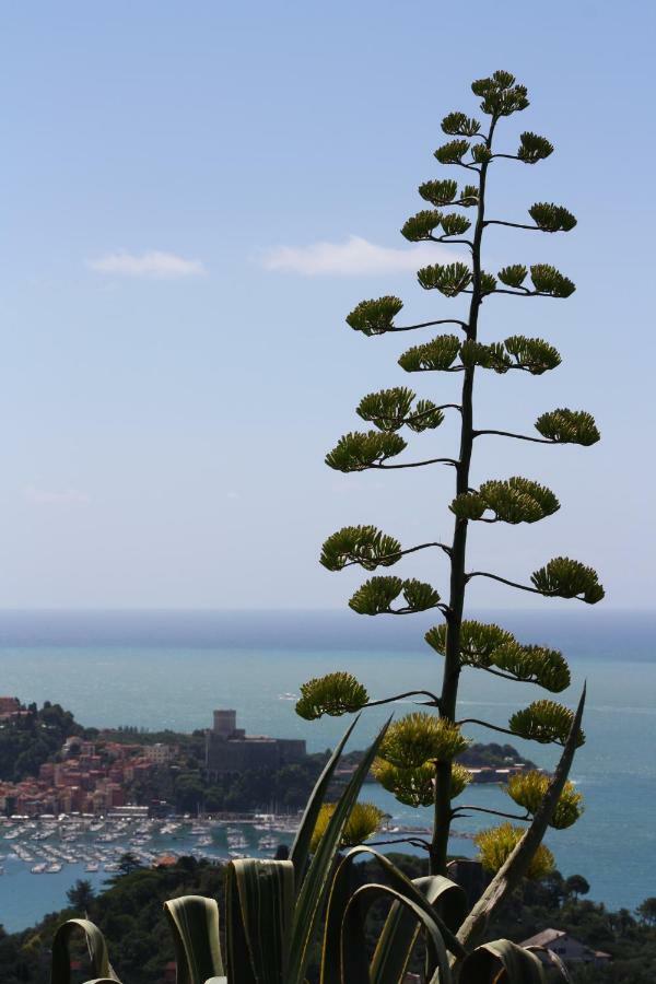 Agave Di Lerici 빌라 외부 사진
